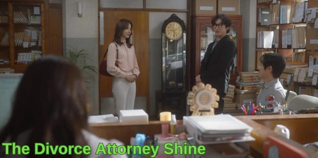 The Divorce Attorney Shine