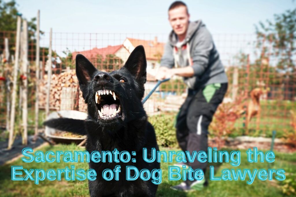 Navigating Legal Quandaries After a Canine Encounter in Sacramento: Unraveling the Expertise of Dog Bite Lawyers